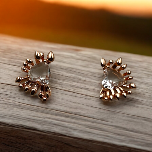 Radiant Sunburst Crystal Earrings